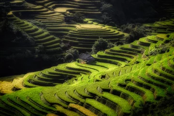 Papier Peint photo autocollant Mu Cang Chai Beautiful rice terrace fields at Mu Cang Chai in Vietnam. Many rice fields planted as terraced belong to shape of hill and mountains. Popular place attractions for domestic and international tourists.