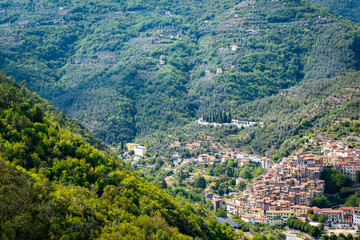 Fototapeta na wymiar The hills, woods and olive trees of Val Nervia; It is a verdant valley in the Liguria Region (Northern Italy), between the sea and the Ligurian Alps, near the Italian-French border.