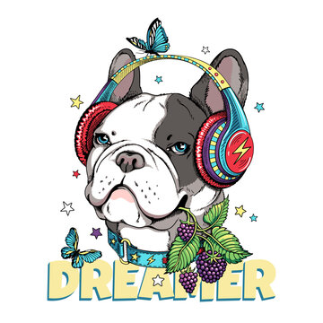 Cute french bulldog in headphones and with a sprig of blackberries in his teeth. Dog with butterflies and berries. Dreamer illustration. Stylish summer picture for printing on any surface