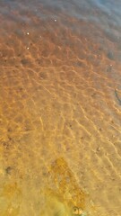 Aguas do Rio Negro, na cidade de Novo Airão, Amazonas