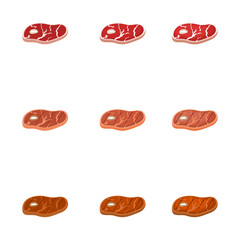 A vector drawn ribeye steak illustration with various colors and amount of details