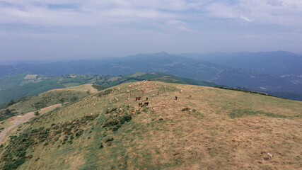 Fototapeta na wymiar Asturias vista desde arriba, fotografía de naturaleza