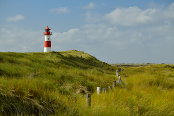 Fototapeta na wymiar Ein Rot-Weißer Leuchtturm ragt aus einer mit gras bedeckten Dünenlandschaft