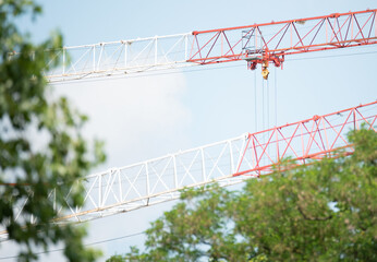 Construction crane between the treetops. Construction crane structure and cabin.