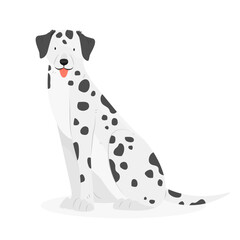The Dalmatian is sitting with his tongue hanging out. The character is a dog isolated on a white background. Vector animal illustration.