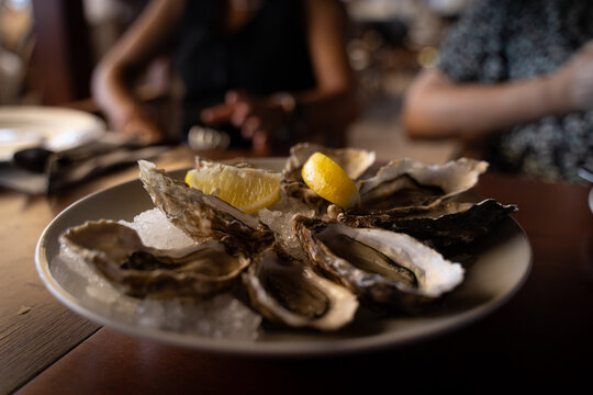 degustacion de unos platos deliciosos en el restaurante