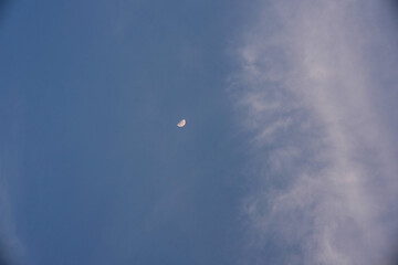 Waning moon visible in the morning