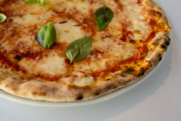 Pizza Margherita with Basil Fior di Latte and Tomato, in the Verace Pizza Napoletana Style