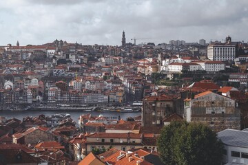 Fototapeta premium photo