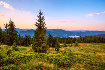 summer sunset landscape, beautiful morning background in the mountains, Carpathian mountains, Ukraine, Europe