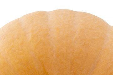 orange pumpkin detail against white background
