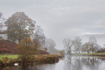 Beautiful Autumn landscape image of River Brathay in Lake District lookng towards Langdale Pikes with fog across river and vibrant woodlands