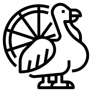 Turkey Outline Icon