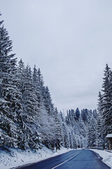 Road through the winter wonderland forest