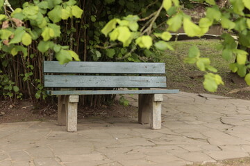 Park bench on any given day