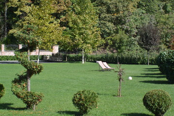 park in the city