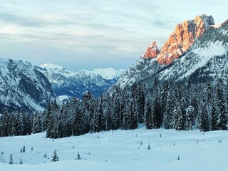 snow covered forest and mountains at sunset in Sella di Razzo on the Dolomites