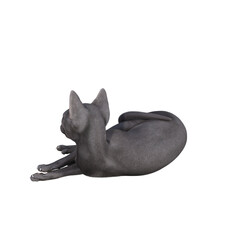 Sphynx cat isolated on transparent background. PNG File, 3D Rendering Illustration.