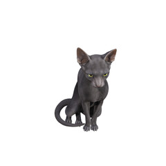 Sphynx cat isolated on transparent background. PNG File, 3D Rendering Illustration.