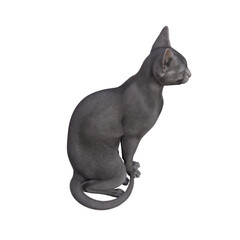 Sphynx cat isolated on transparent background. PNG File, 3D Rendering Illustration.