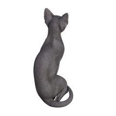 Sphynx cat isolated on transparent background. PNG File, 3D Rendering Illustration.