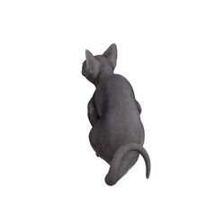 Sphynx cat isolated on transparent background. PNG File, 3D Rendering Illustration.