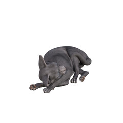 Sphynx cat isolated on transparent background. PNG File, 3D Rendering Illustration.