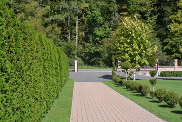 path in the park