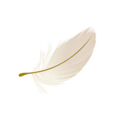 Realistic bird feather