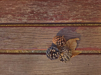 Obraz premium Autumn fall brown pine cones and leaf on wooden background