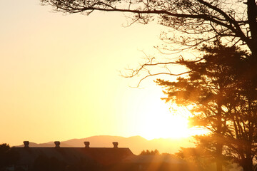 朝日と木のシルエット