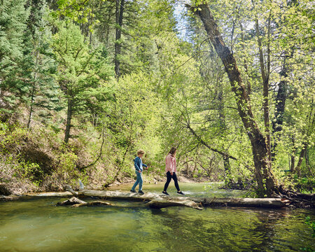 Brother (10-11)&nbsp;and sister (12-13) walking on log on&nbsp;lake