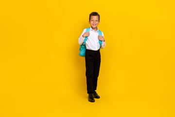 Fototapeta na wymiar Full length photo of cheerful nice boy carry backpack have good mood isolated on yellow color background