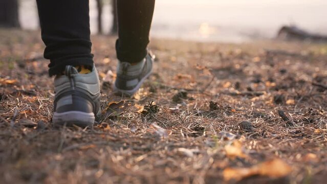 Hiking in the forest. Tourist shoes in the forest park. People travel in nature. Summer woman legs in nature park. Adventure tourist on vacation. Tourist feet in the forest park. Trekking Hiking
