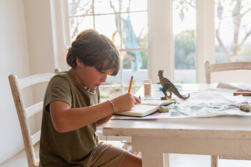 Boy (8-9) drawing at home