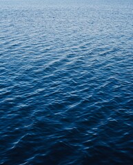 Deep blue surface. Beautiful blue sea.