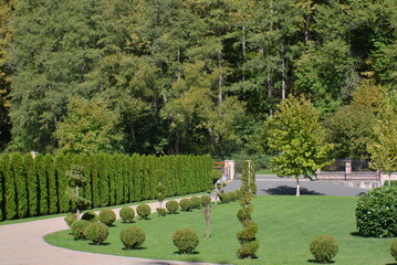 garden