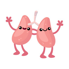 Human organ flat for web design. Cartoon cute stomach, lungs, spleen, bladder isolated vector illustration. Anatomy and internal biology for design concept