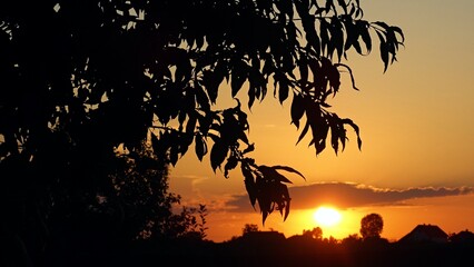 A beautiful sunset in Serbia