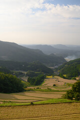 Fototapeta premium 蕨野の棚田