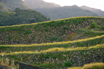 南河原の棚田（日本一の石積み）