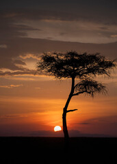 Fototapeta na wymiar Sunrise at Masai Mara