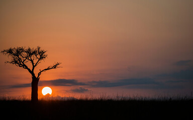 Sunrise at Masai Mara