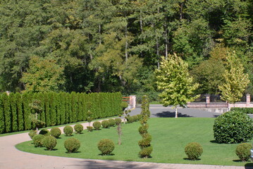 garden