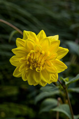 Park der Gärten Bad Zwischenahn