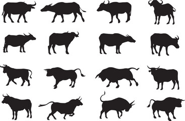 Buffalo and bull silhouette