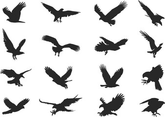 Eagle silhouette set