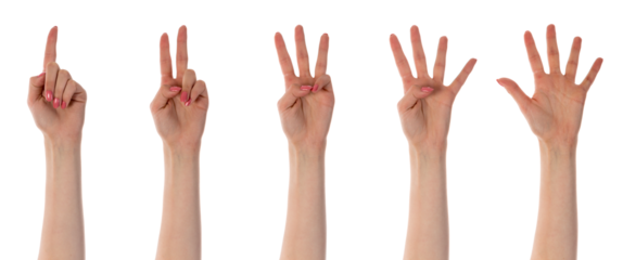 Five counting female hands isolated on transparent background