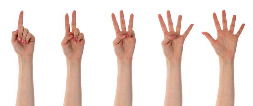 Five counting female hands isolated on transparent background