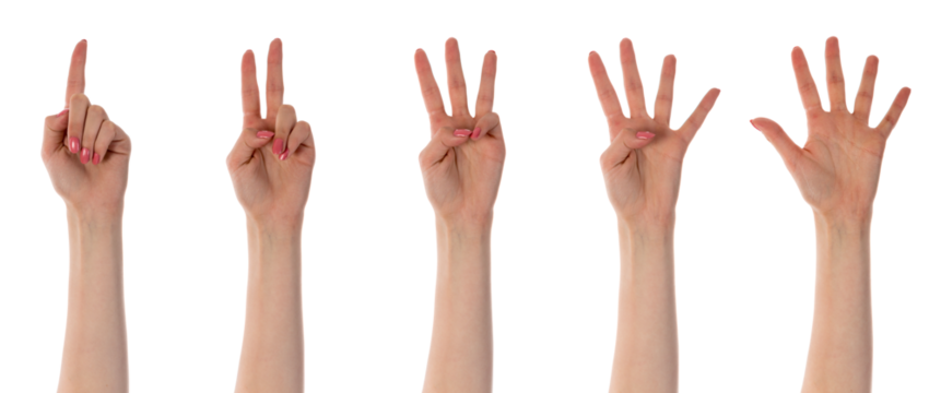 Five counting female hands isolated on transparent background
